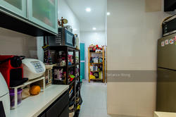 Residences @ Jansen (D19), Apartment #147250242